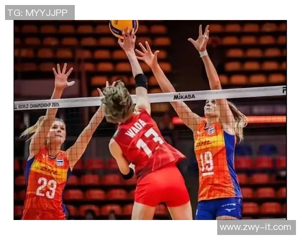 女排对决巴西与荷兰精彩瞬间回顾与战术分析