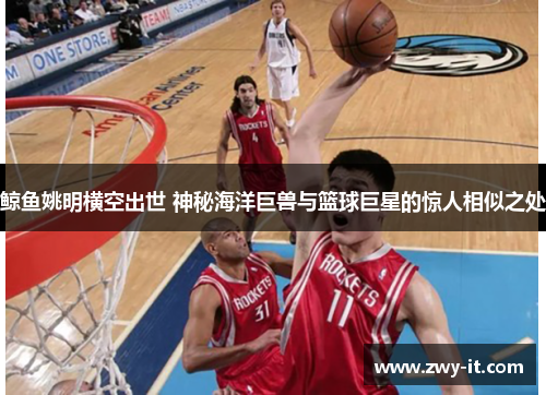 鲸鱼姚明横空出世 神秘海洋巨兽与篮球巨星的惊人相似之处